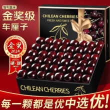 梦宛怡 车厘子3jjj级樱桃智利进口【JD-多地次日达】新鲜水果年货节礼盒 5斤(净重)  2000g车厘子J级26mm+