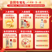水井坊 井台 浓香型白酒 38度 500ml 低度【过年送礼】 38%vol 500mL 1瓶