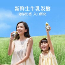 认养一头牛 常温原味酸奶 200g×20盒
