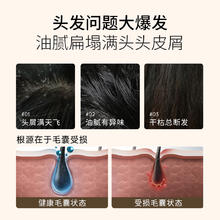 弹动 8+MINUTES 8minutes白松露8分钟洗发水洗护套装去屑止痒控油蓬松洗头膏 白松露洗发水 400ml
