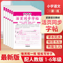 2025阳光同学活页默写计算能手练字帖板一二三四五六年级下册人教版语文数学英语小学教辅算数同步练习册口算计算题强化训练本试卷