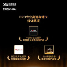 致态（ZhiTai）长江存储 512GB TF（MicroSD）存储卡 U3 V30 A2 PRO专业高速存储卡 读速170MB/s