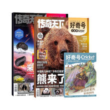 现货 好奇号2025年1月 陨石来自哪里