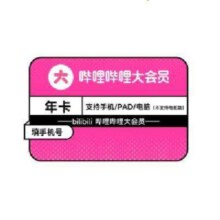 bilibili 哔哩哔哩 大会员年卡12个月