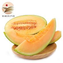静益乐源 海南沙地哈密瓜 净重4.5-5斤装