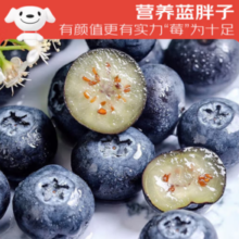 26日0点！京鲜生 云南蓝莓22mm+巨无霸果 12盒礼盒装 净重125g/盒