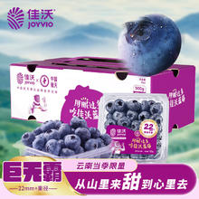 佳沃 云南当季蓝莓sekoya系列 巨无霸22mm+ 4盒装 约125g/盒 水果礼盒