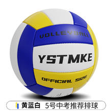 骆泰 排球 LT-2484PQ 初中生小学生体育考试比赛气排球