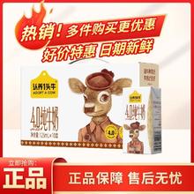 12月产认养一头牛娟姗纯牛奶125ml*10盒高钙学生儿童早餐整箱批发
