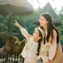 20点开始：广州长隆3天2晚动物世界欢乐世界飞鸟乐园 含早餐+免费升房
