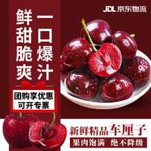 鲁禧海岸 智利车厘子多地次日达 新鲜水果 黑珍珠大樱桃整箱 2斤J级果径26-28mm 净重1.8斤