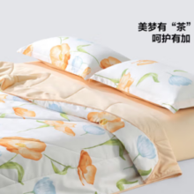 7A抑菌！百丽丝 北野花雾抗菌夏被 150x200cm