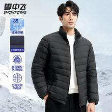 限移动端、京东百亿补贴：雪中飞 男士立领羽绒服 特价商品