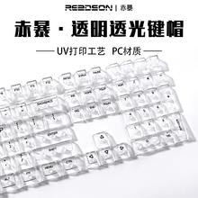 Readson 赤暴PC透明键帽原厂高度 正刻侧刻（132颗大全套）