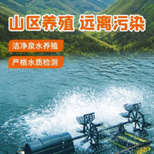 三都港 新鲜活鳗鱼蒲烧300g烤鳗鱼段加热即食预制菜肴生鲜海鲜健康轻食