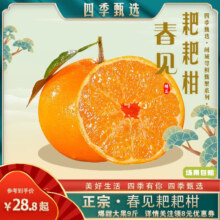 闽域寻鲜四川特级春见耙耙柑橘子甜当季整箱新鲜水果包邮 净重4.5斤（单果65mm+）老树果更甜