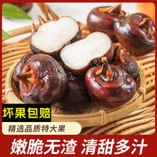 3斤 广西特产现挖水果马蹄中果