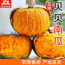 京喜 山东老南瓜贝贝南瓜板栗味老瓜粉面粉糯宝宝蒸蛋辅食 贝贝南瓜 2斤