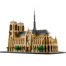 乐高（LEGO）【现货速达】积木建筑系列21061 巴黎圣母院男孩女孩玩具新年礼物