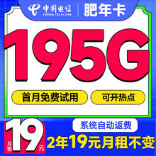 中国电信 肥年卡 2年19元/月（运营商自动返费+次月起195G流量+首月免租）激活送20E卡