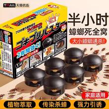 家用一窝全窝端蟑螂药6枚*2盒装