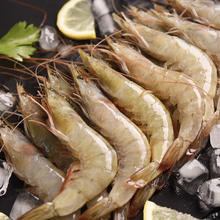 国联 生带头虾 特大号 1.5kg