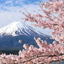 日本东京+迪士尼（Disney）+富士山6日5晚私家团