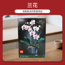 乐高 LEGO IDEAS系列 10311 兰花绿色植物盆景拼装积木