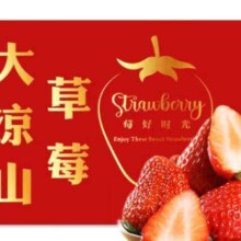 田拾记大凉山红颜草莓 3斤普通装 净重2.5斤 单果13-18g【80%人选】