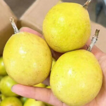 钦蜜9号黄金百香果新鲜水果 3斤大果