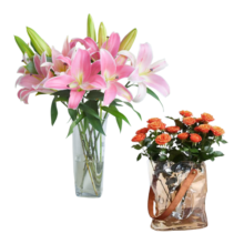 悦多彩AB级优质香水百合 家庭办公室各色生活鲜花 昆明基地 现采直发 百合10朵+多头玫瑰5枝（均为随机色）