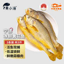 黄小渔 宁德大黄鱼 3斤/3条