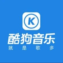 酷狗音乐 豪华VIP会员年卡 12个月