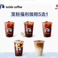 luckin coffee 瑞幸咖啡  咖啡5选1电子优惠券