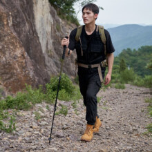 百亿补贴：MOBIGARDEN 牧高笛 登山杖 【成人款】云崖灰（单根）