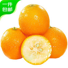 京觅 广西融安金桔 2斤5号果 40-50颗/斤 新鲜水果年货节 源头直发