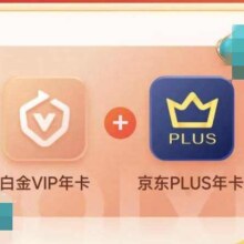 爱奇艺白金VIP会员年卡 + 赠京东PLUS年卡