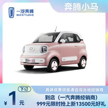 一汽奔腾 BESTUNE 奔腾小马 汽车 电动汽车 灵动马