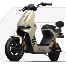 小牛电动 F100都市版本新国标电动自行车 锂电池 两轮 到店选颜色