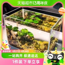 森森超白鱼缸玻璃桌面客厅生态斗鱼金鱼乌龟缸造景懒人养鱼水草缸