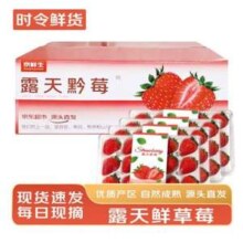 京鲜生  黔莓大凉山露天草莓2.4斤/单果15g-25g
