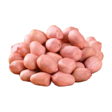 现剥新白沙花生米1000g 净重2袋 精选白沙大粒