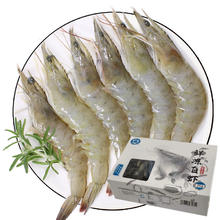 环球水产 UNIVERSAL 广东茂名 鲜冻白虾 100-120只 2kg
