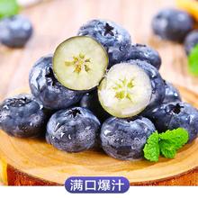 洽乐 云南蓝莓 当季新鲜蓝莓水果 中果蓝莓125g*6盒单果15mm+
