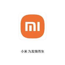 促销活动：唯品会 小米MI 为发烧而生