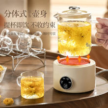 端约 养生壶多功能家用小型迷你办公室全自动烧水煮茶器茶壶保温全玻璃