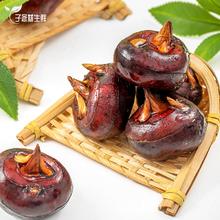 10元3斤 广西特产现挖水果马蹄