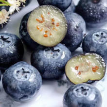 Driscoll's 怡颗莓 Only the Finest Berries 怡颗莓 进口秘鲁蓝莓 125g*6盒