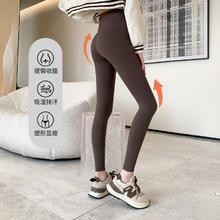 艾芙格丽 高腰鲨鱼裤女春季
