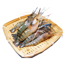 百鲜洽 罗氏虾沼虾 20-30只 - 超大号 1500g(净重)